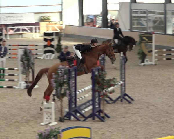 Reitturnier Borken 2022