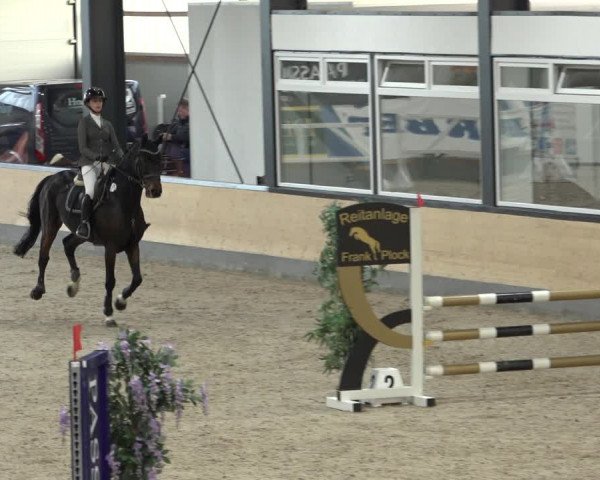 Reitturnier Borken 2022