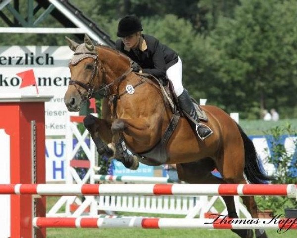 jumper Leonique 2 (Holsteiner, 1997, from Lascadell)