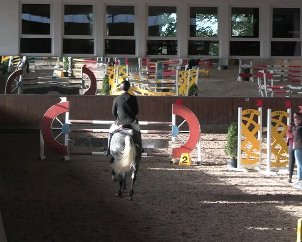 Reitturnier Freudenberg 2022