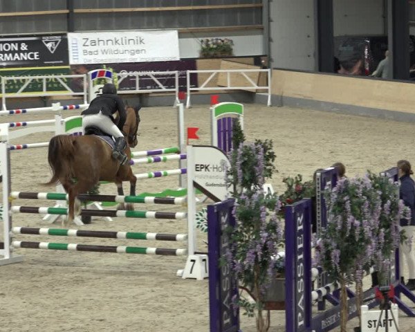 Reitturnier Borken 2022