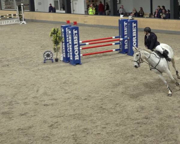 Reitturnier Borken 2022