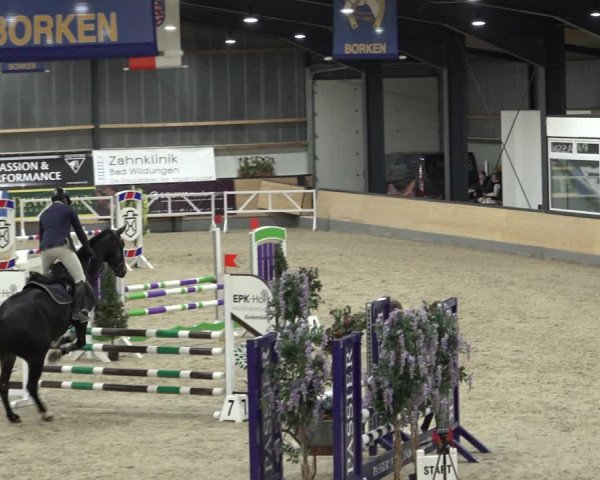 Reitturnier Borken 2022