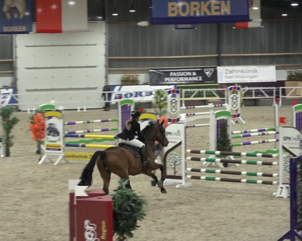 Reitturnier Borken 2022