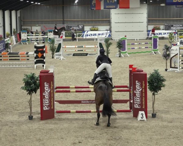 Reitturnier Borken 2022