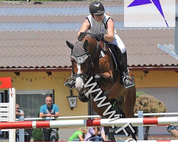 horse Angel 169 (Württemberger, 2001, from Araconit)