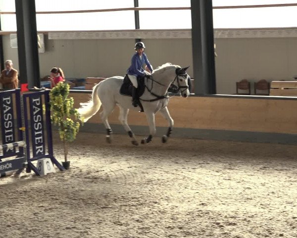 Reitturnier Borken 2022