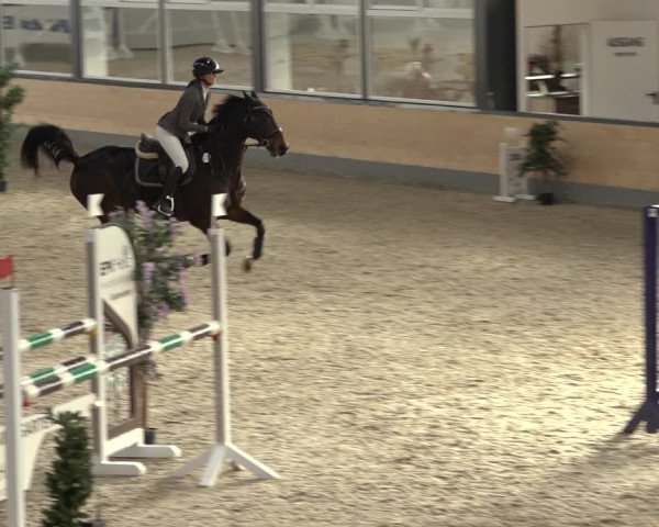 Reitturnier Borken 2022