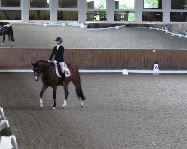 Reitturnier Freudenberg 2022