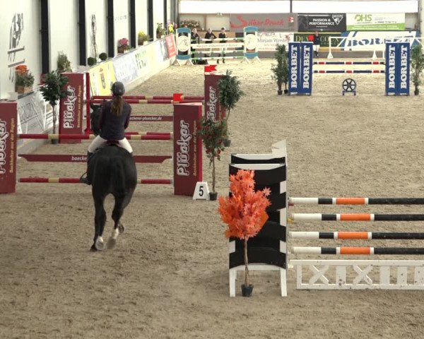 Reitturnier Borken 2022