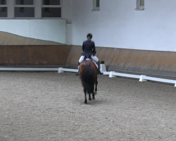 Reitturnier Freudenberg 2022