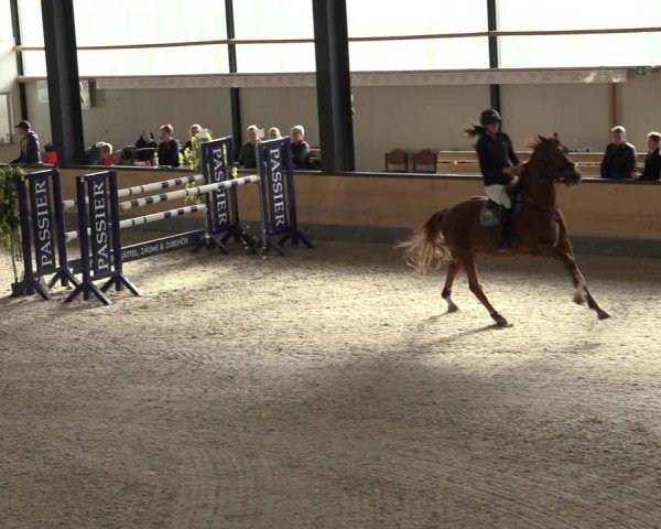 Reitturnier Borken 2022