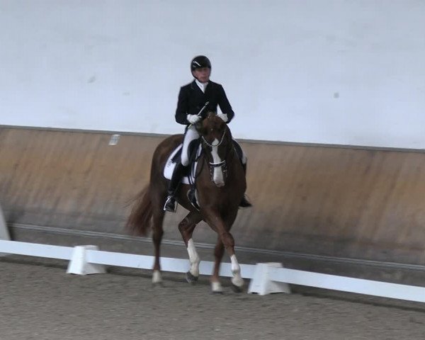 Reitturnier Freudenberg 2022