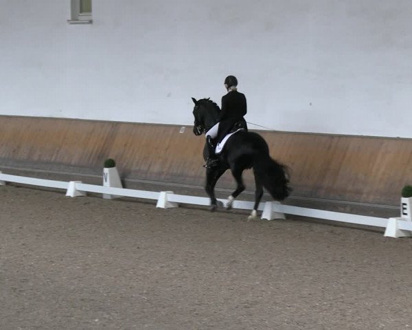 Reitturnier Freudenberg 2022