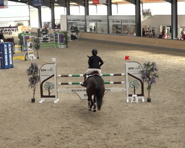 Reitturnier Borken 2022