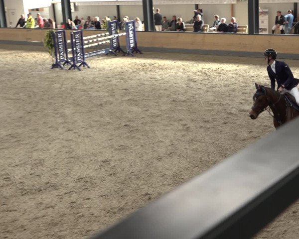 Reitturnier Borken 2022