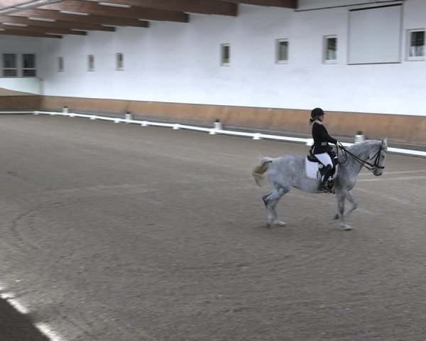 Reitturnier Freudenberg 2022