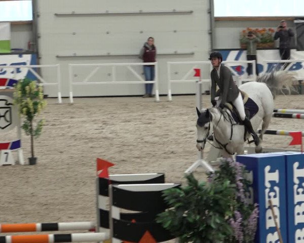 Reitturnier Borken 2022