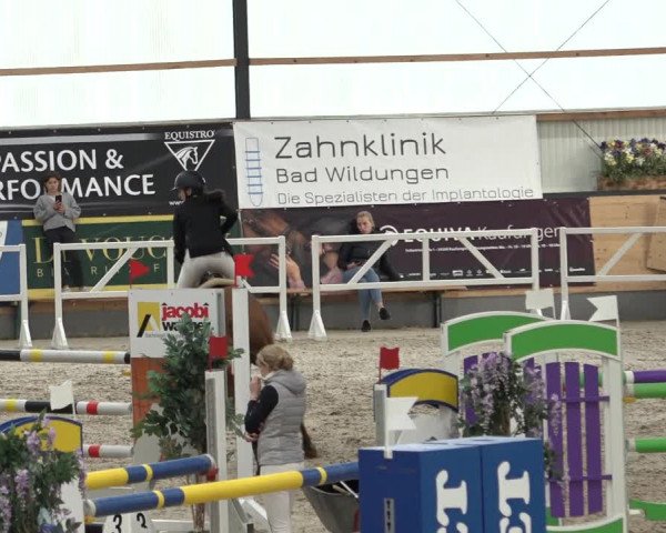 Reitturnier Borken 2022