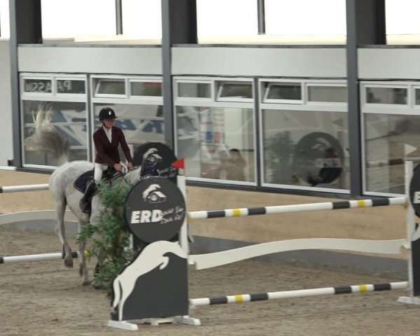 Reitturnier Borken 2022
