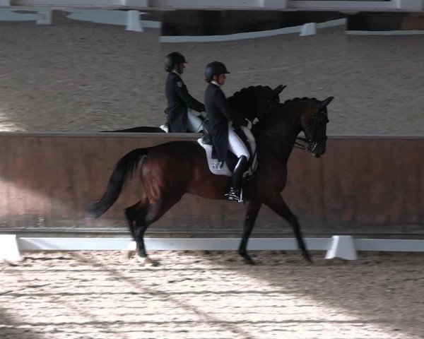 Reitturnier Freudenberg 2022