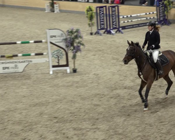 Reitturnier Borken 2022