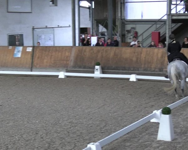 Reitturnier Freudenberg 2022