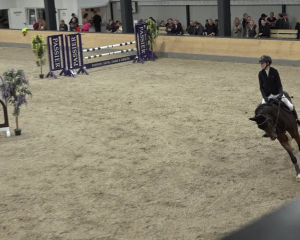 Reitturnier Borken 2022