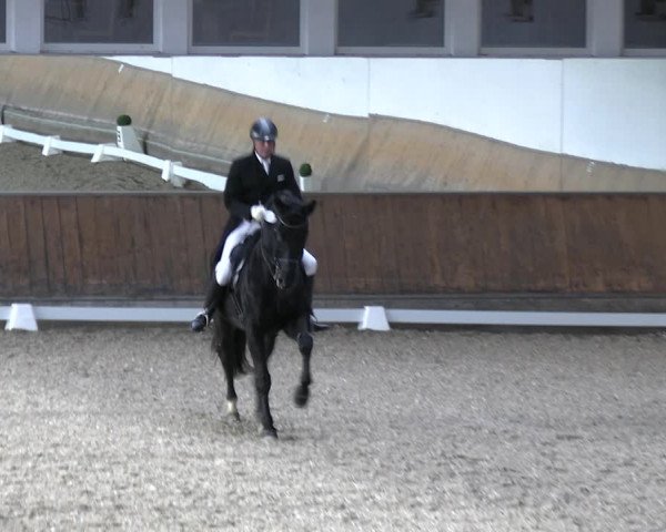Reitturnier Freudenberg 2022
