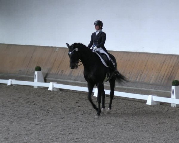 Reitturnier Freudenberg 2022