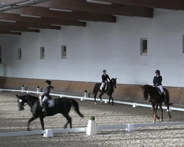 Reitturnier Freudenberg 2022