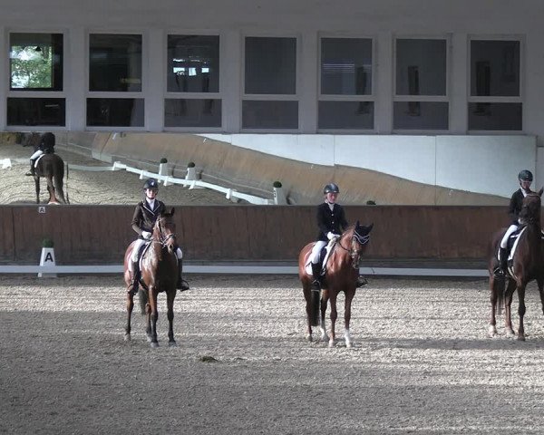 Reitturnier Freudenberg 2022