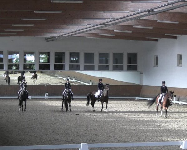 Reitturnier Freudenberg 2022