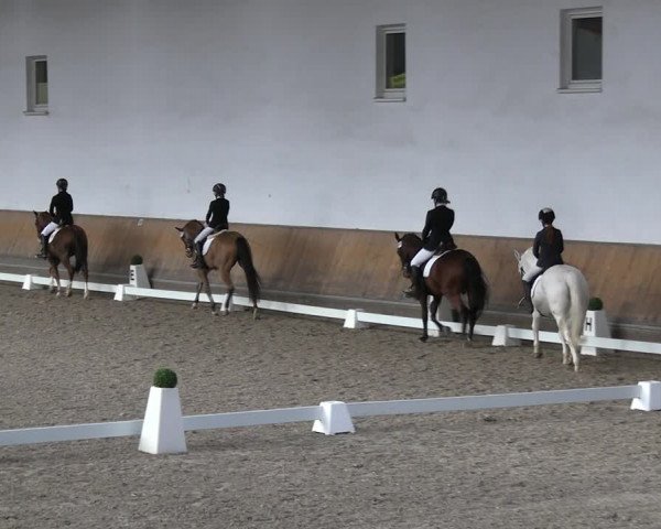 Reitturnier Freudenberg 2022