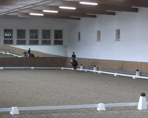 Reitturnier Freudenberg 2022