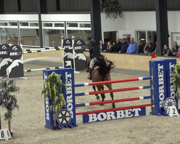 Reitturnier Borken 2022