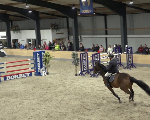Reitturnier Borken 2022