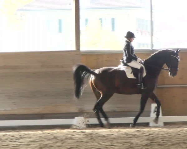 Reitturnier Urtenen-Schönbühl 2022