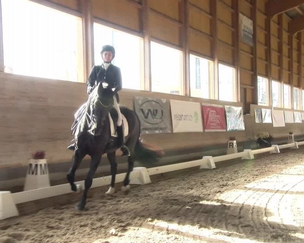 Reitturnier Urtenen-Schönbühl 2022