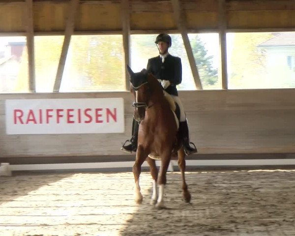 Reitturnier Urtenen-Schönbühl 2022