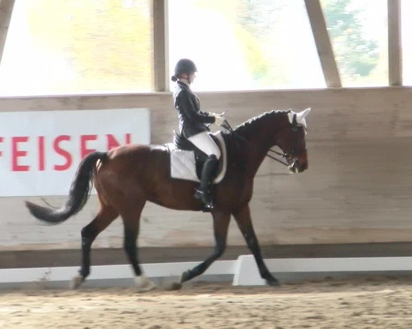 Reitturnier Urtenen-Schönbühl 2022