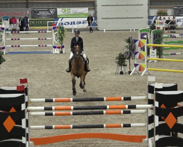 Reitturnier Borken 2022