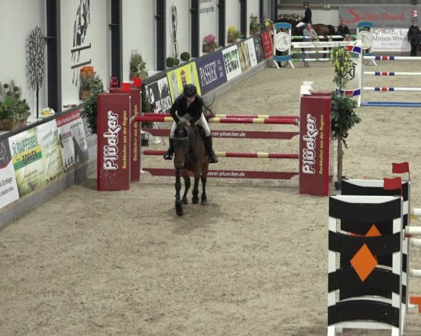 Reitturnier Borken 2022