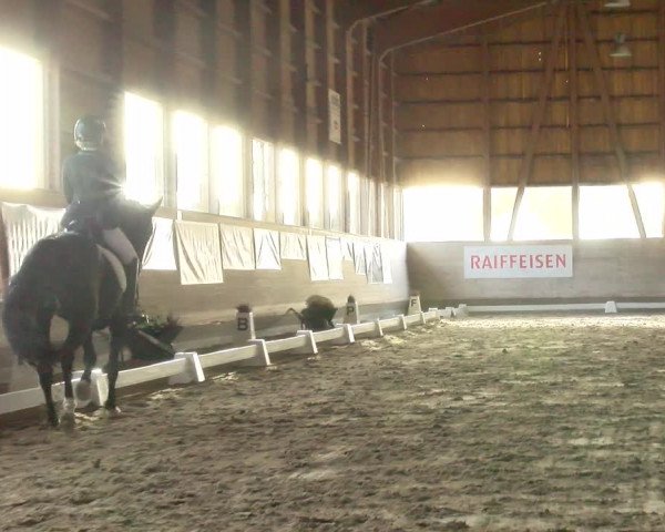 Reitturnier Urtenen-Schönbühl 2022