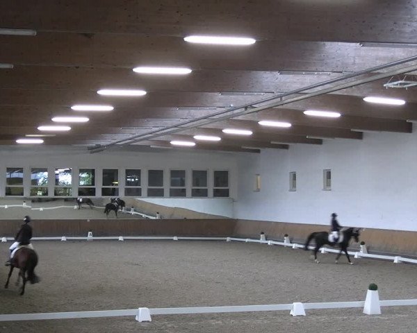 Reitturnier Freudenberg 2022