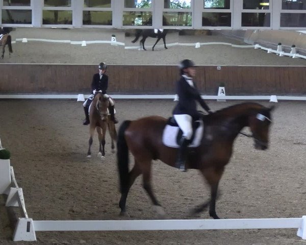 Reitturnier Freudenberg 2022