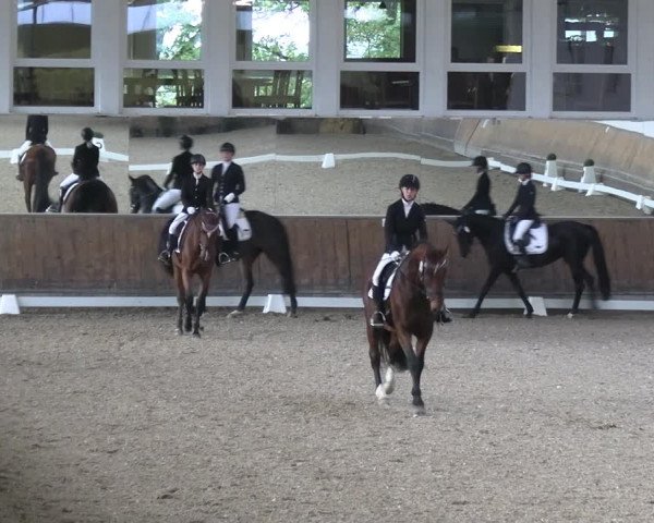 Reitturnier Freudenberg 2022