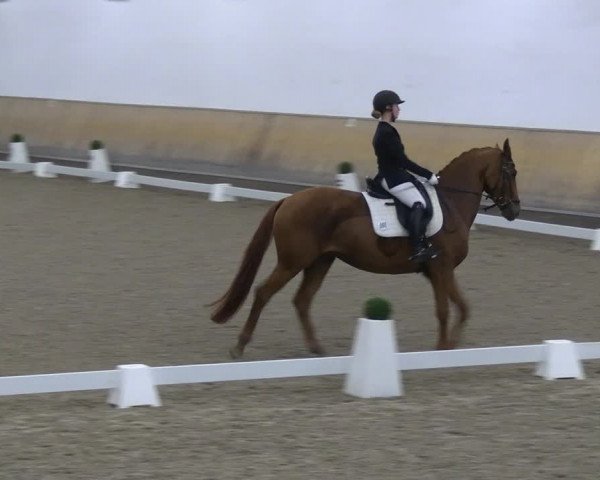 Reitturnier Freudenberg 2022