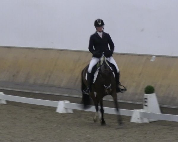 Reitturnier Freudenberg 2022