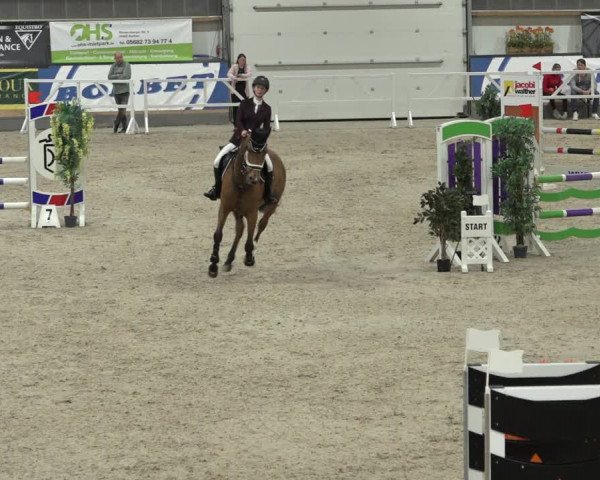 Reitturnier Borken 2022